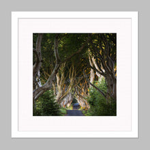 Load image into Gallery viewer, 'Joy' - The Dark Hedges, Ballymoney