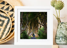 Load image into Gallery viewer, Special Edition - Framed Square 8x8" prints.