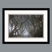 Load image into Gallery viewer, 'Into the fog' - The Dark Hedges