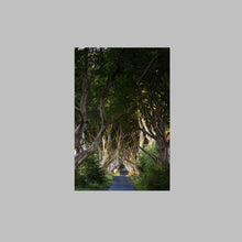 Load image into Gallery viewer, &#39;Joy&#39; - The Dark Hedges, Ballymoney
