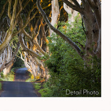 Load image into Gallery viewer, &#39;Joy&#39; - The Dark Hedges, Ballymoney
