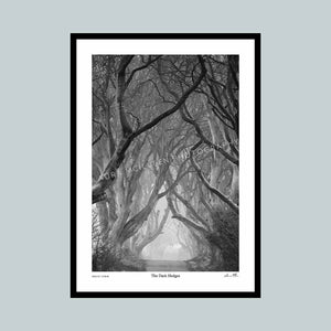 The Dark Hedges - The Timed Collection