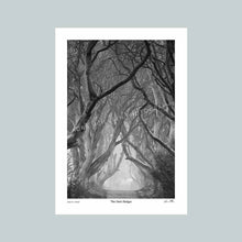 Load image into Gallery viewer, The Dark Hedges - The Timed Collection
