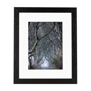 'Winter is here' - Snowy Dark Hedges Print Framed