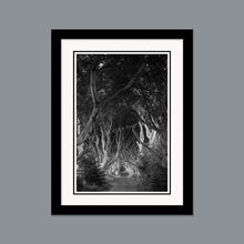 Load image into Gallery viewer, &#39;Classic&#39; - The Dark Hedges
