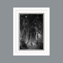 Load image into Gallery viewer, &#39;Classic&#39; - The Dark Hedges
