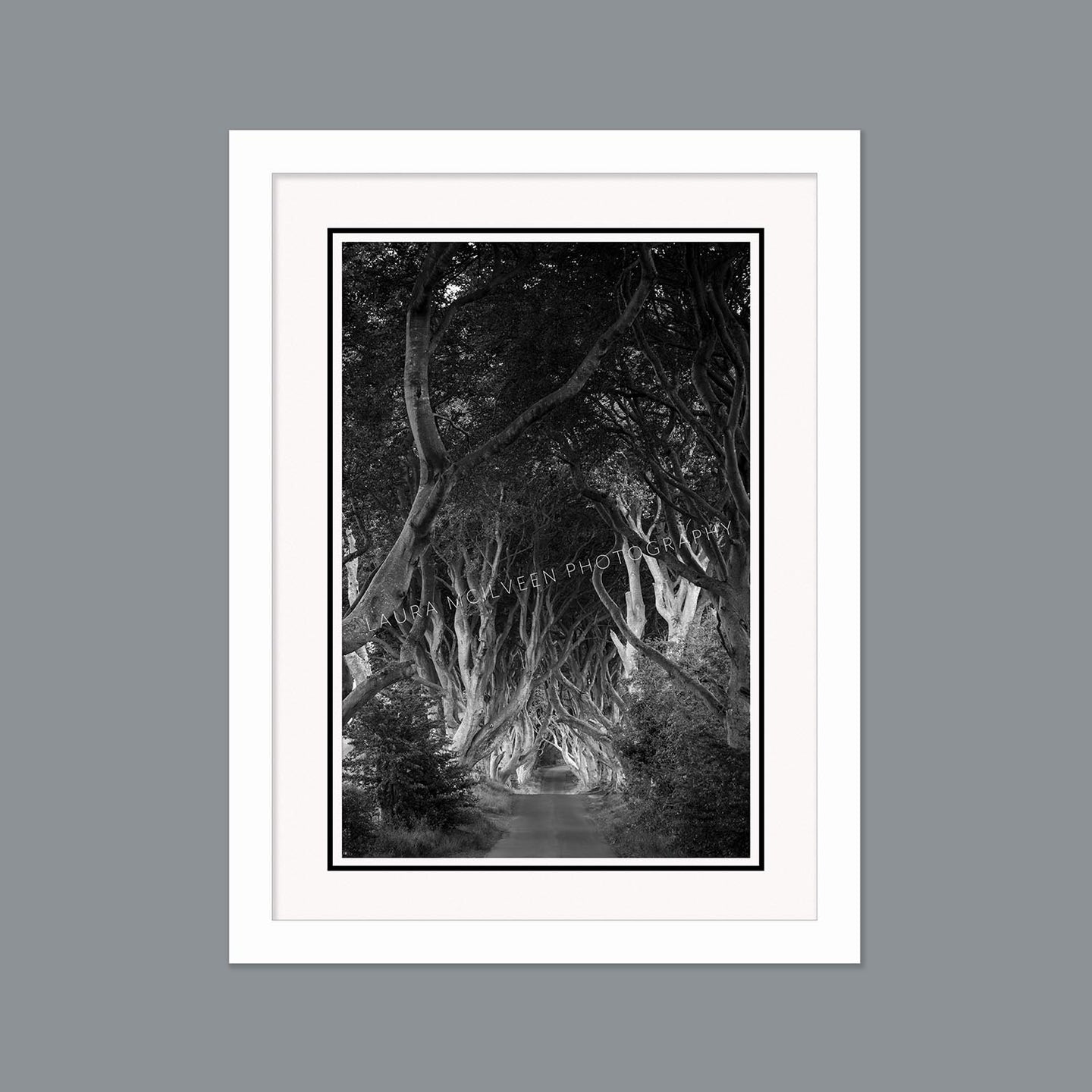 'Classic' - The Dark Hedges