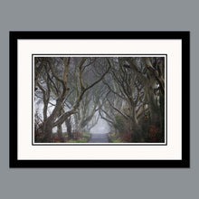 Load image into Gallery viewer, &#39;Into the fog&#39; - The Dark Hedges
