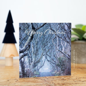 'A Causeway Christmas' Card Collection