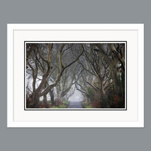 Load image into Gallery viewer, &#39;Into the fog&#39; - The Dark Hedges
