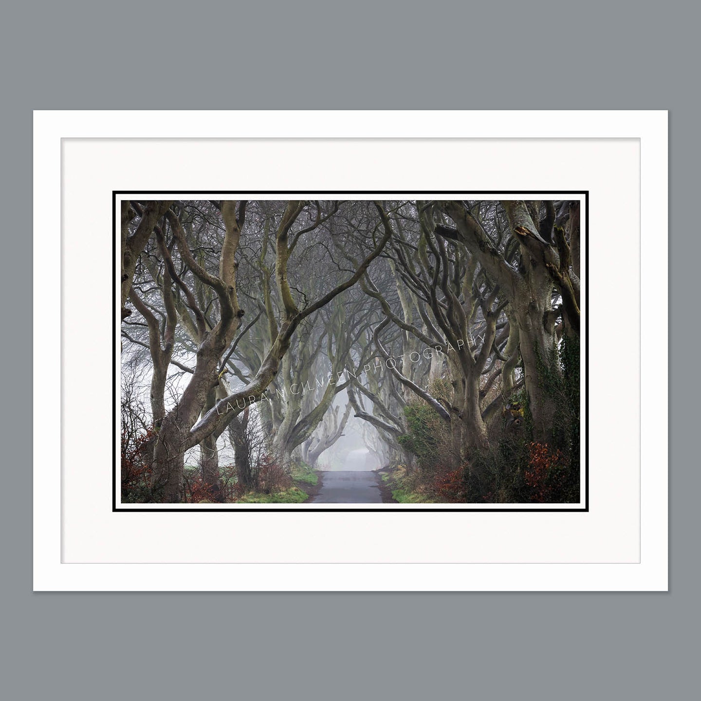 'Into the fog' - The Dark Hedges