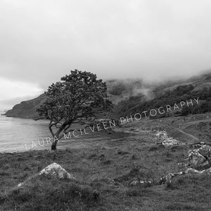 'Mist Murlough' - Murlough Bay