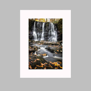 'Leaves Of Gold' - Glenariff Waterfall